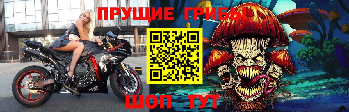 Моздок  Псилоцибиновые грибы GOLDEN TEACHER  Вход с VPN 